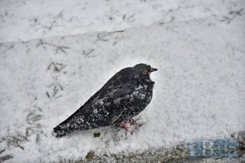 В среду в Киеве обещают снег и до -6 градусов мороза