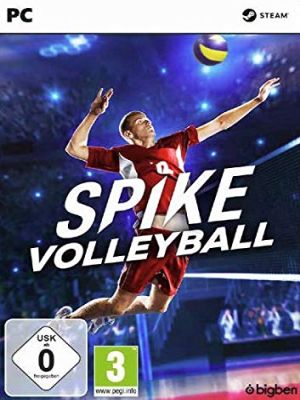 Re: Spike Volleyball (2019)