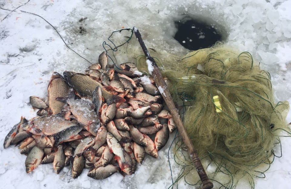 Вісті з Полтави - Браконьєри Полтавщини за січень завдали збитків рибному господарству майже на 60 тис. грн