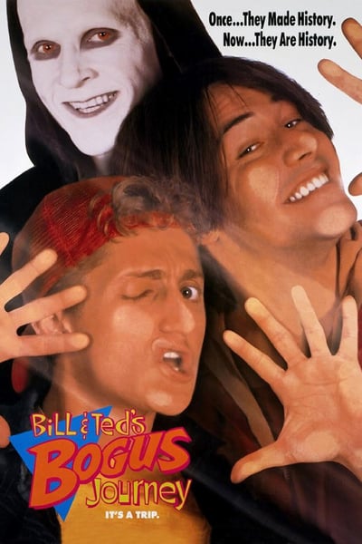 Bill and Teds Bogus Journey 1991 1080p BluRay X264-AMIABLE