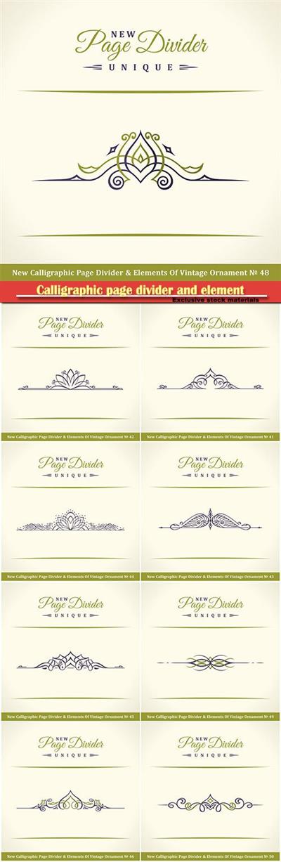 Calligraphic page divider and element of vintage ornament
