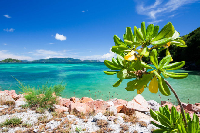 Туристы смогут арендовать весь остров на Сейшелах