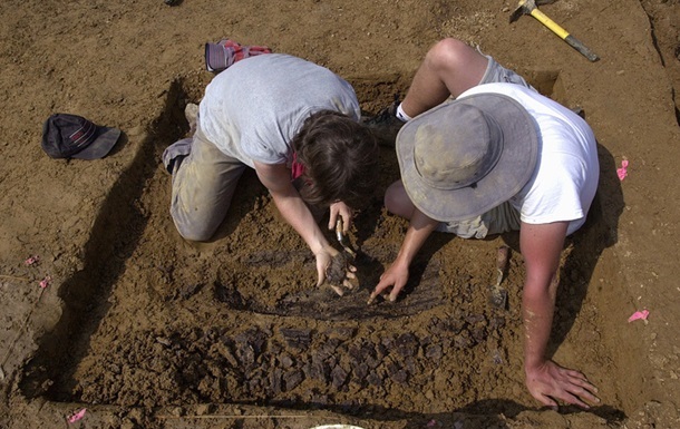 Огромную тропу динозавров нашли в Австралии