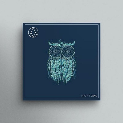 AngelicVibes - Night Owl R2 (WAV)