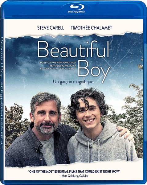   / Beautiful Boy (2018) BDRip-AVC  OlLanDGroup | D, P | iTunes