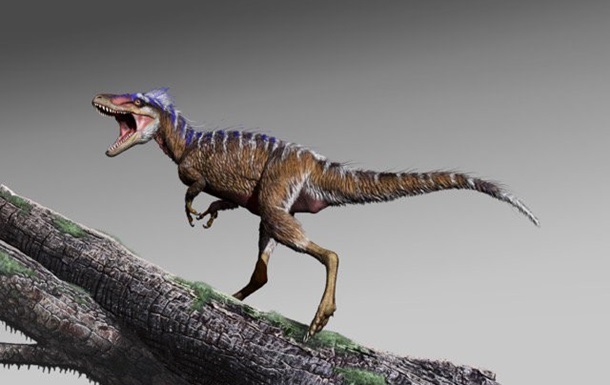 Ученые нашли останки мини-тираннозавра