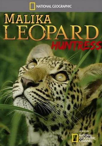  / Malika. Leopard Huntress (2018) HDTV 1080i
