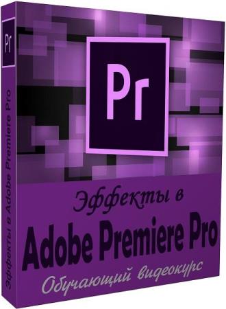   Adobe Premiere Pro.  (2019)
