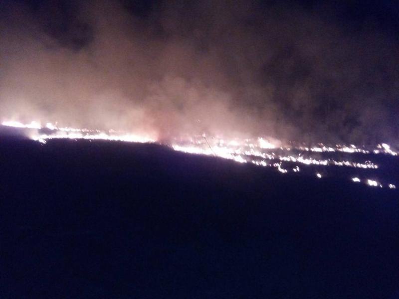 Пожарные за сутки погасили близ 50 возгораний сухой травы в трех областях Украины