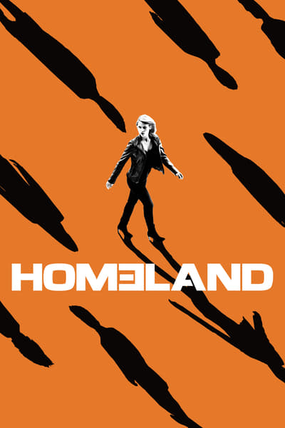 Homeland S02E08 576p BluRay DD5 1 x264-HiSD