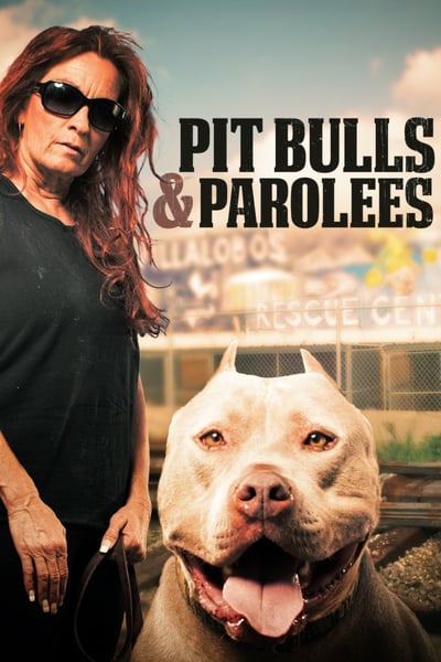 Pit Bulls and Parolees S13E07 Like A Boss 1080p WEB x264-CAFFEiNE