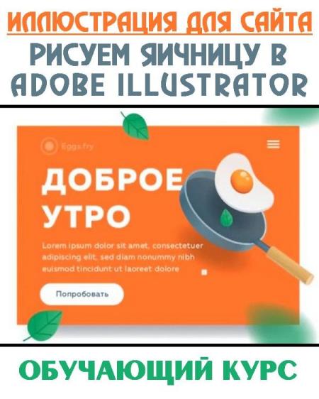   .    Adobe Illustrator (2019)