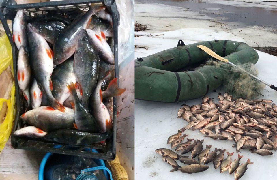 Вісті з Полтави - Протягом лютого виявлено 275 порушень зі збитками понад 27 тис. грн, — Полтавський рибоохоронний патруль