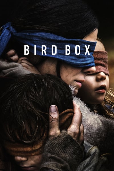 Bird Box 2018 INTERNAL 1080p WEB x264-STRiFE