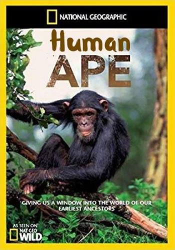 Человекообразные обезьяны / Human Ape (2017) HDTV 1080i