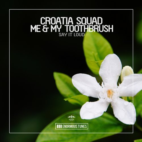 Croatia Squad, Me & My Toothbrush - Say It Loud (Leventina Remix) [2019]