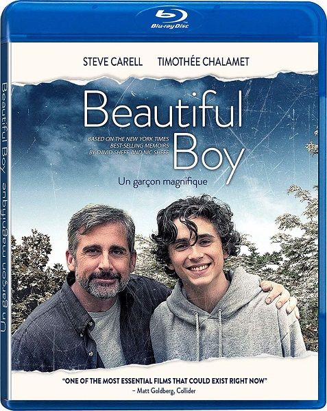Красивый мальчик / Beautiful Boy (2018)