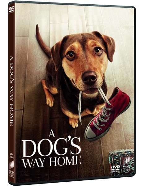 A Dogs Way Home 2019 720p HC HDRip x264-MkvCage