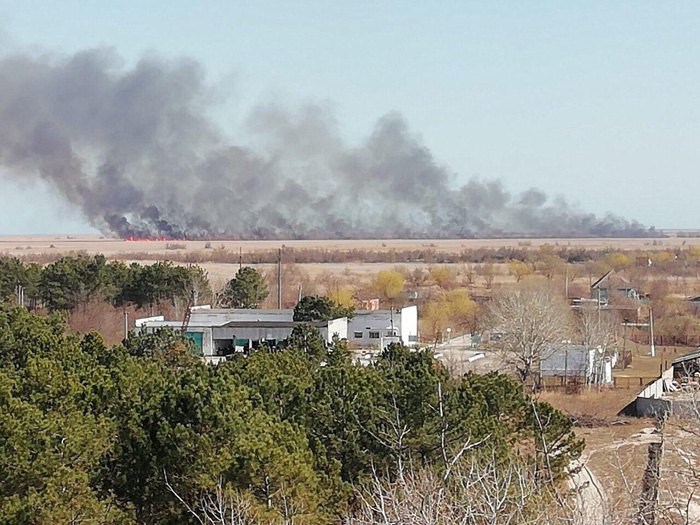 В Одесской области потушили крупный пожар в Вилковском лесничестве(освежено)
