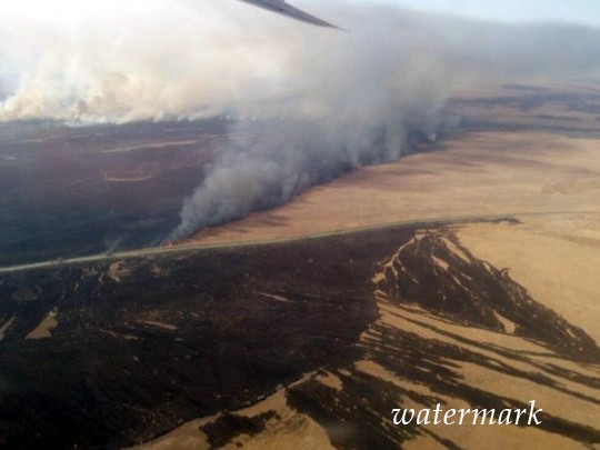 Пылают 50 гектаров: под Одессой вновь масштабный пожар(фото)
