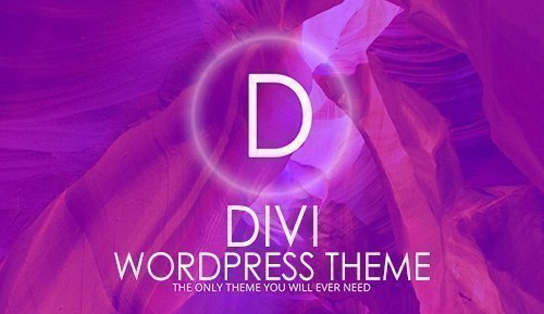 Divi v3.21.1 - WordPress Theme - ElegantThemes + Divi Plugins + Divi Layout + Divi PSD Files