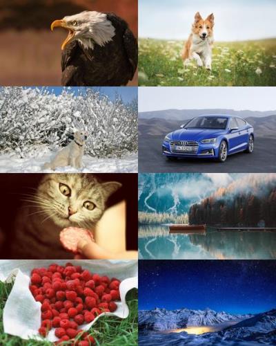 Wallpapers Mix №765