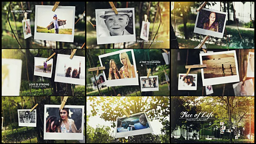 Tree of Life Photo Gallery - Project for After Effects (Videohive)