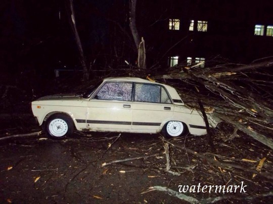Десятки упавших деревьев и сломанные билборды: появились фото последствий мощного урагана в Днепре