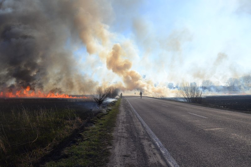 Из-за пожара на полях возле Гладко пришлось ограничить проезд по двум дорогам