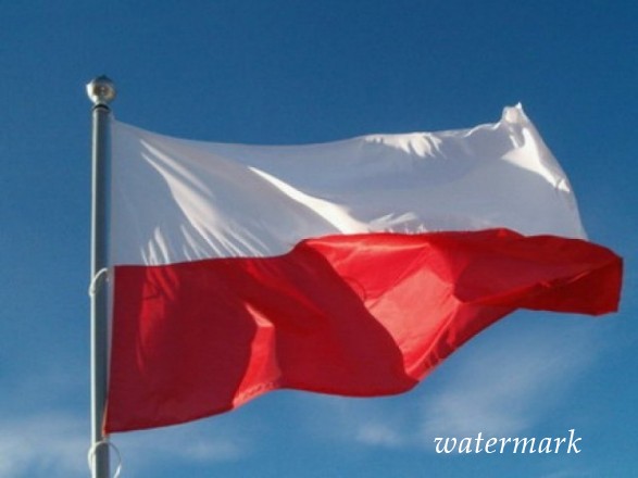Польша требует от России безотлагательно освободить Гриба
