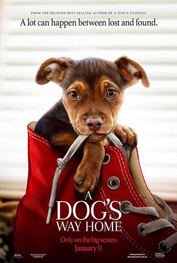 A Dogs Way Home 2019 1080p WEB-DL DD5.1 H264-FGT