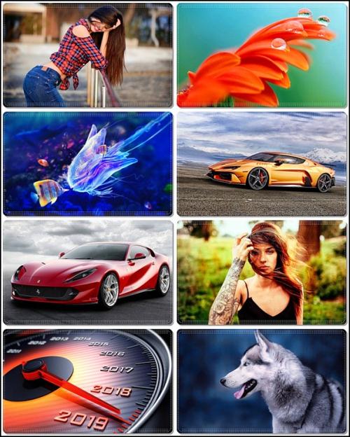     . Wallpapers Mixed Pack 74