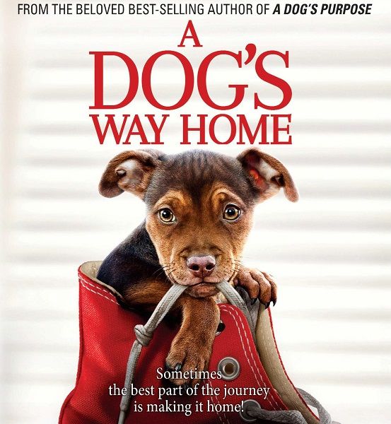 Путь домой / A Dog's Way Home (2019)