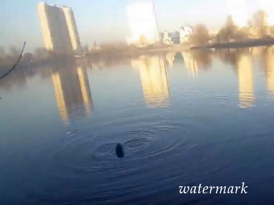 Счет выступал на секунды: невообразимое видео спасения женщины на озере в Киеве