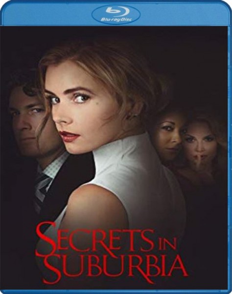 Secrets In Suburbia 2017 720p BluRay x264 x0r