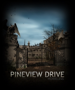Pineview drive - homeless (2019, pc)