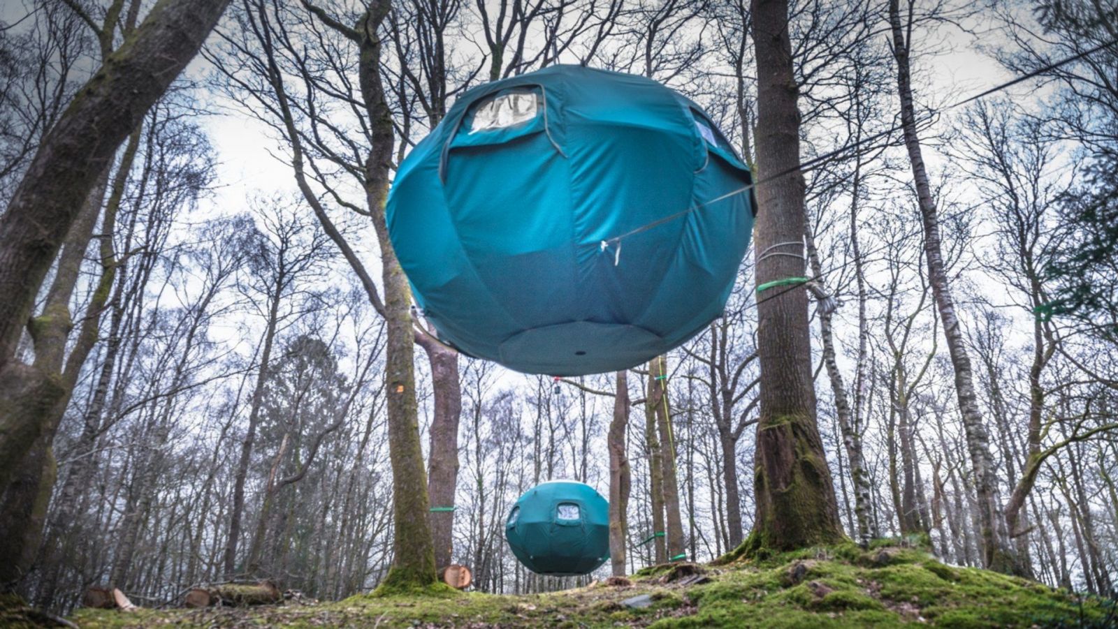 В парке Lake District создали палаточный городок на деревьях