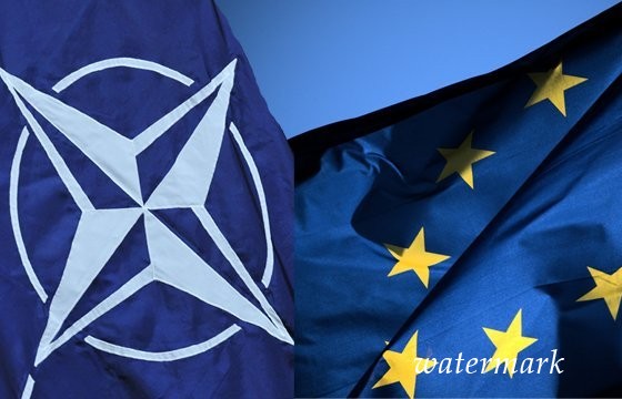 Вступление в НАТО не требует никакого референдума - Геращенко