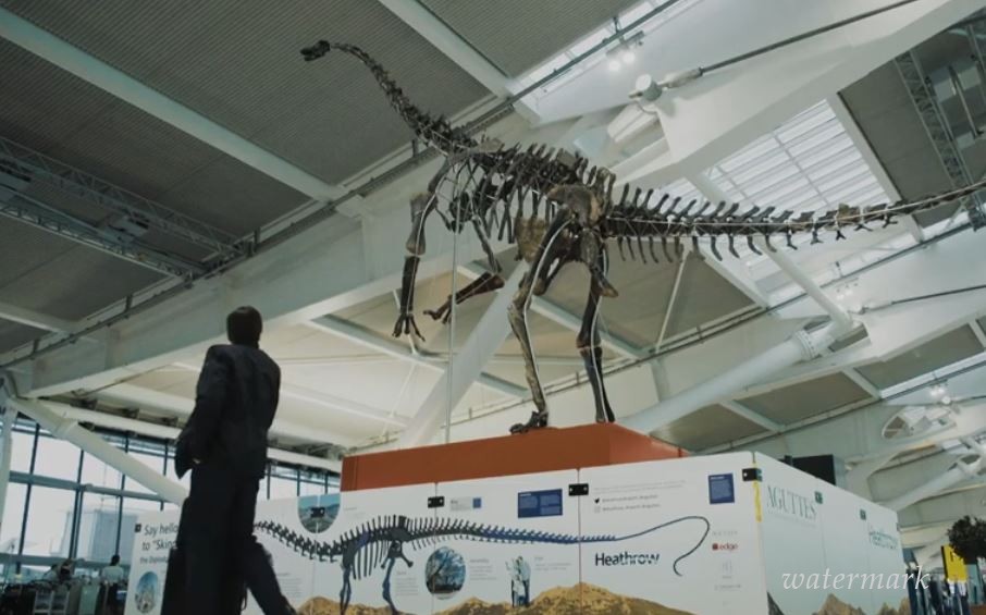 До 3 июня в аэропорту Лондона можно будет увидеть скелет динозавра