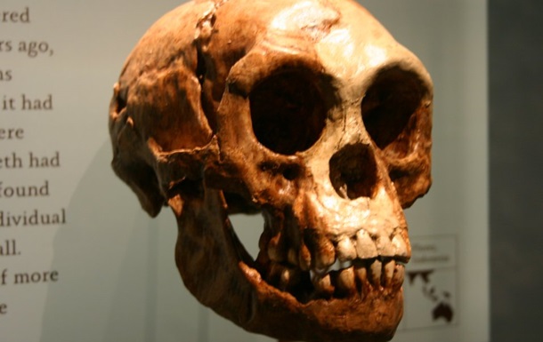 Найдены останки древних людей неизвестного вида