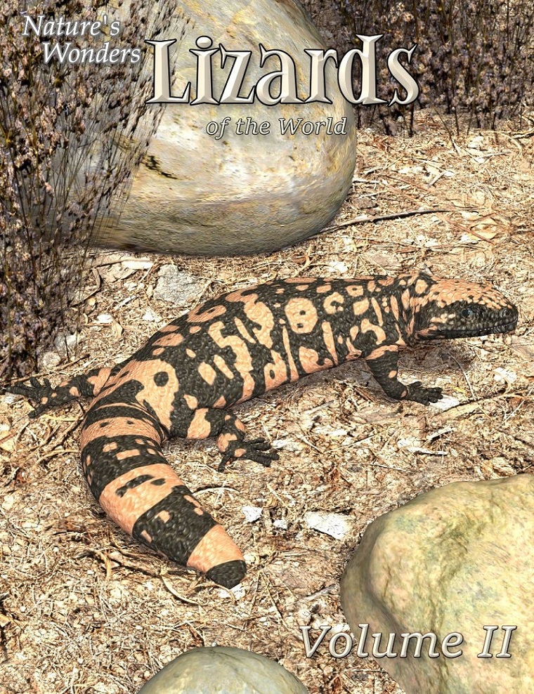 Nature's Wonders Lizards of the World Vol. 2