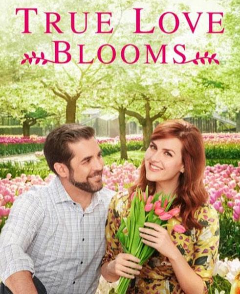 Когда расцветает любовь / True Love Blooms (2019)