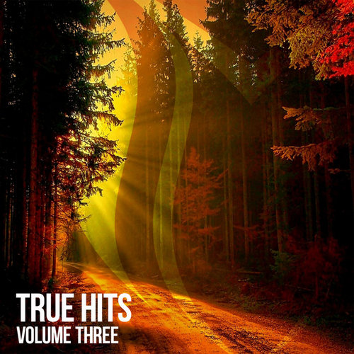 VA - Suanda True - True Hits Vol 3 (2019)