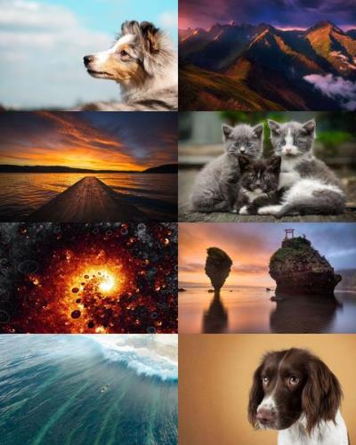 Wallpapers Mix №777
