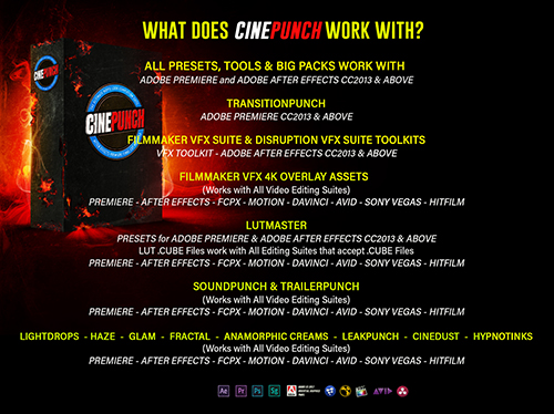 CINEPUNCH V.15 - The Biggest FX Pack in the World! - After Effects Add Ons & Project (Videohive)
