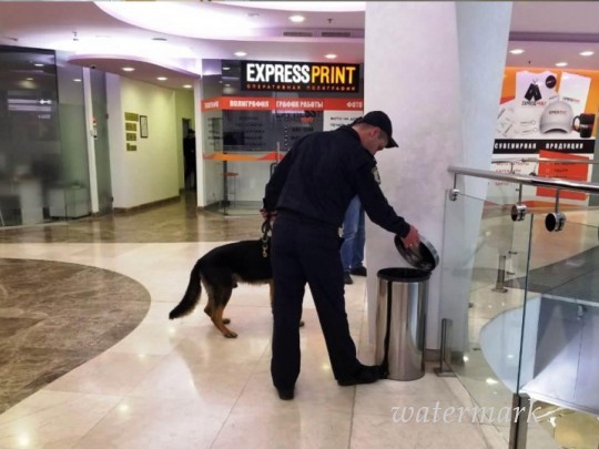 «Минирования» в Одессе: взрывчатку ищут в больнице, аэропорту, кинотеатрах, гипермаркете и в отелях