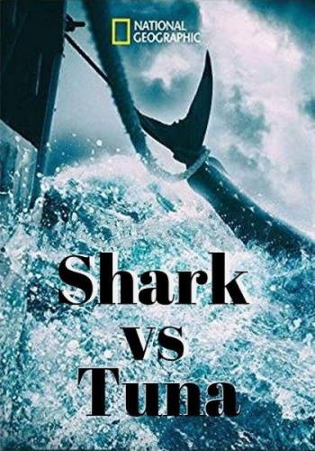 Акула против тунца / Shark vs Tuna (2018) HDTV 1080i