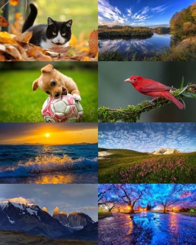 Wallpapers Mix №781