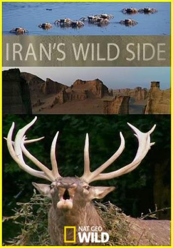 Дикая природа Ирана / Iran's Wild Side (2018) HDTV 1080i