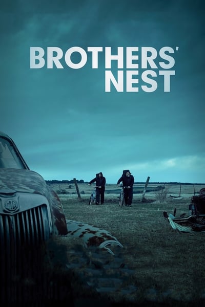 Brothers Nest 2018 1080p AMZN WEB-DL DDP5 1 H 264-NTG